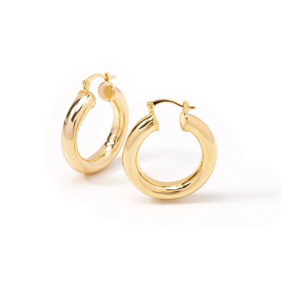 Leeza Gold Hoop Earrings - The Essential Jewels